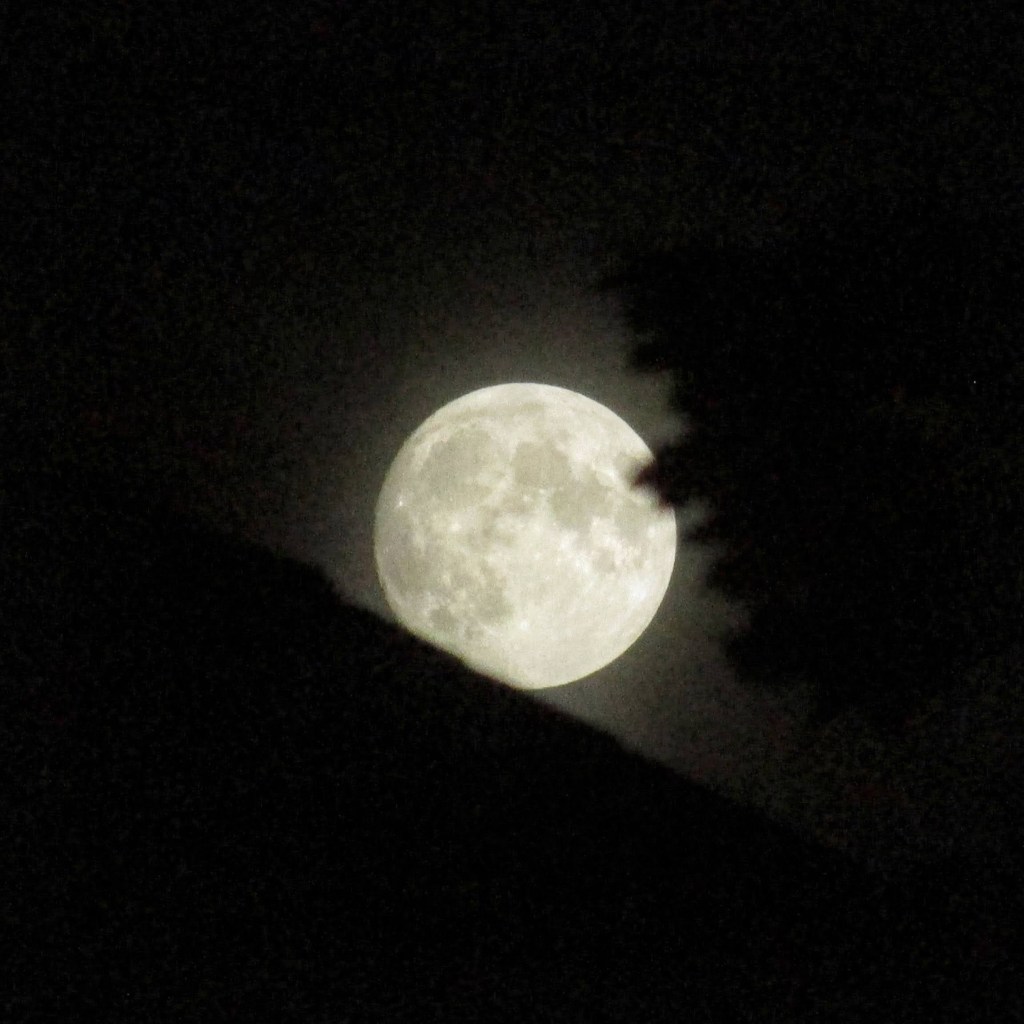 A very clear full moon rising above the roof and into a darkened maple tree. The moon has a soft glow around it.