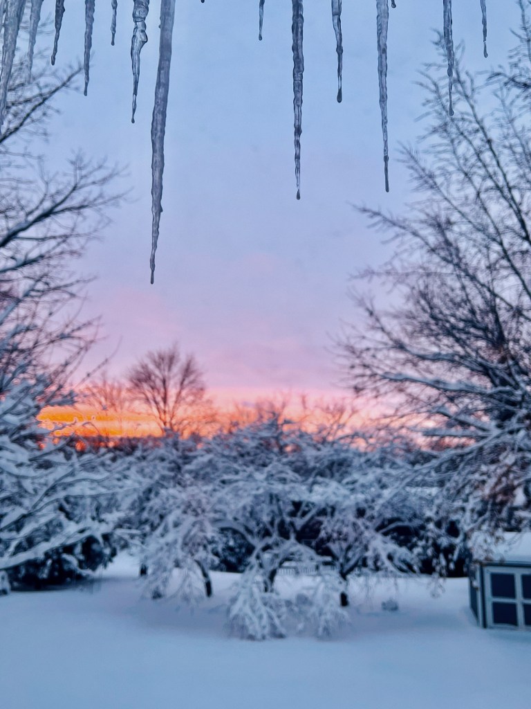 framed by thick icicles above the sun sets over the snow covered drooping trees in rich shades of orange and pink. 