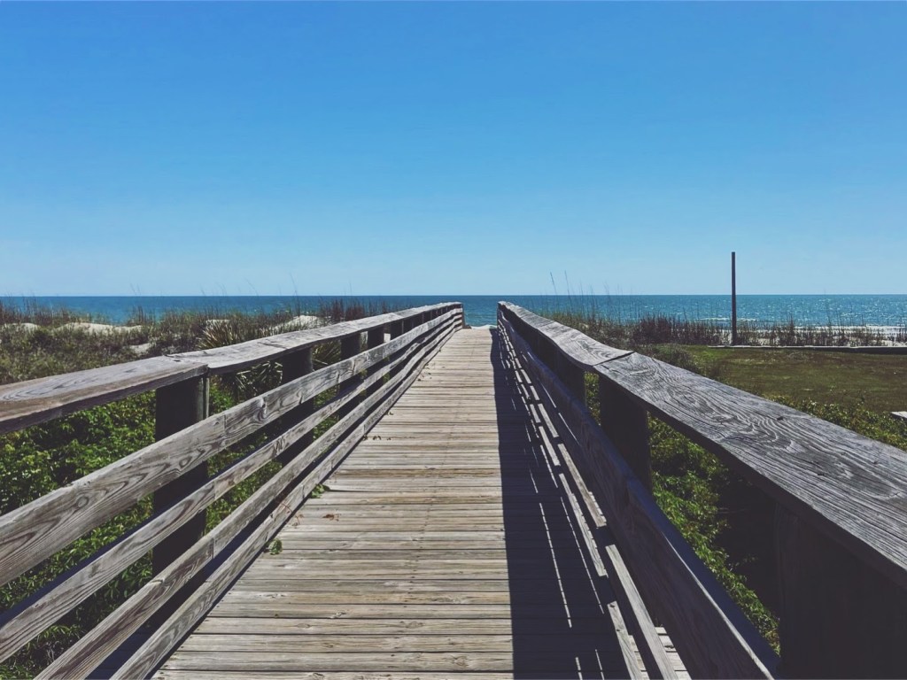 Walking along a wooden boardwalk across the plant covered dunes the vibrant blue ocean is visible in the distance