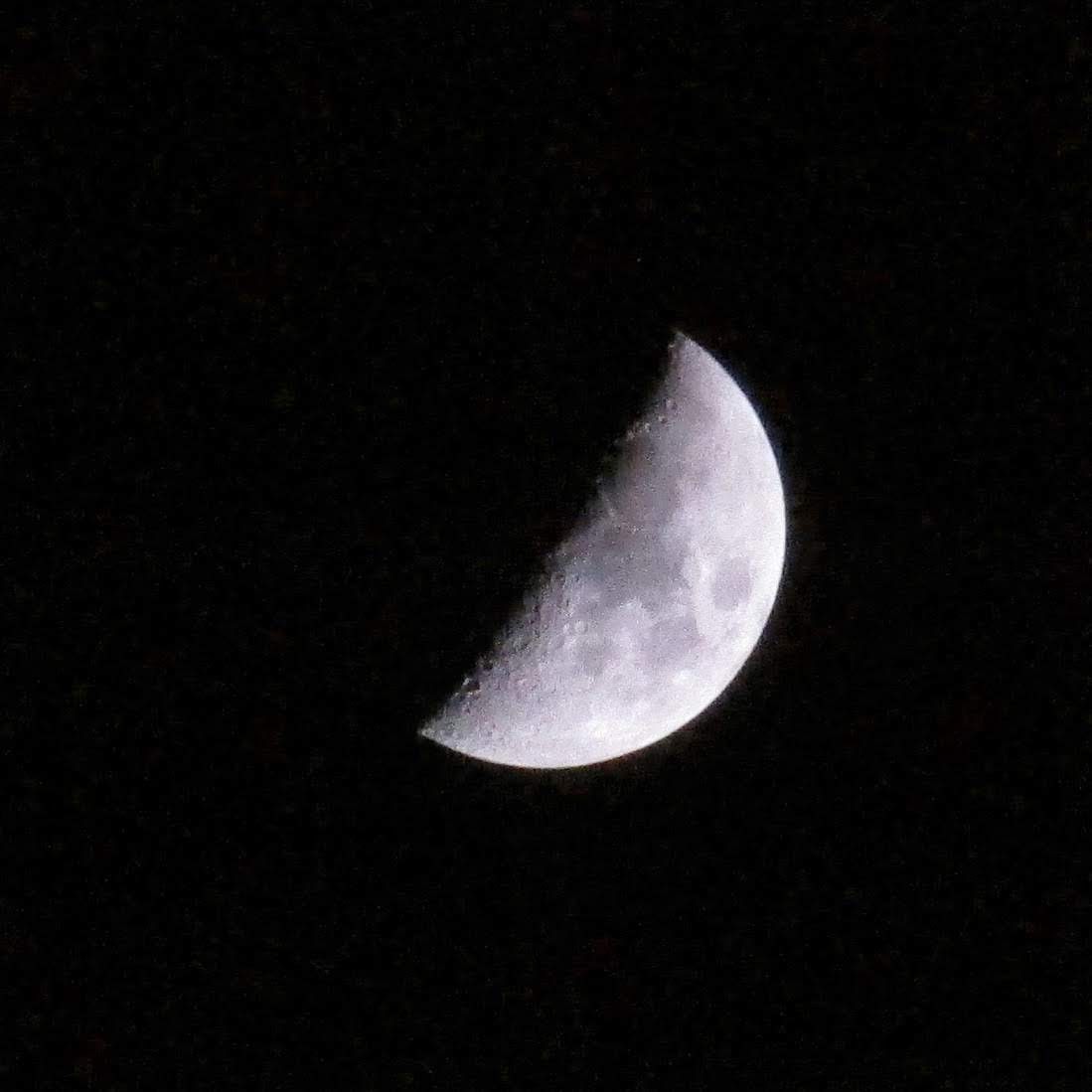 A crystal clear shot of the moon at half illumination. The lava craters are perfectly visible against the night sky.