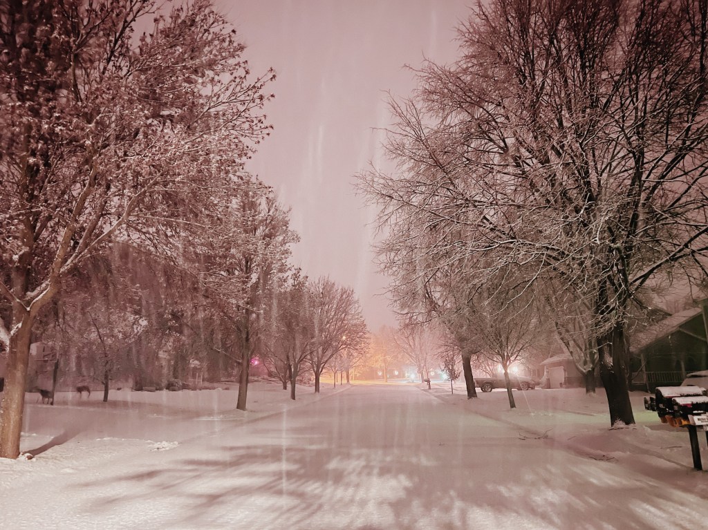 In a slightly pink hue, snow races downwards looking down a long straight snow covered road lined by tall trees. at the end of the road lights glimmer making it glow a rich orange. 