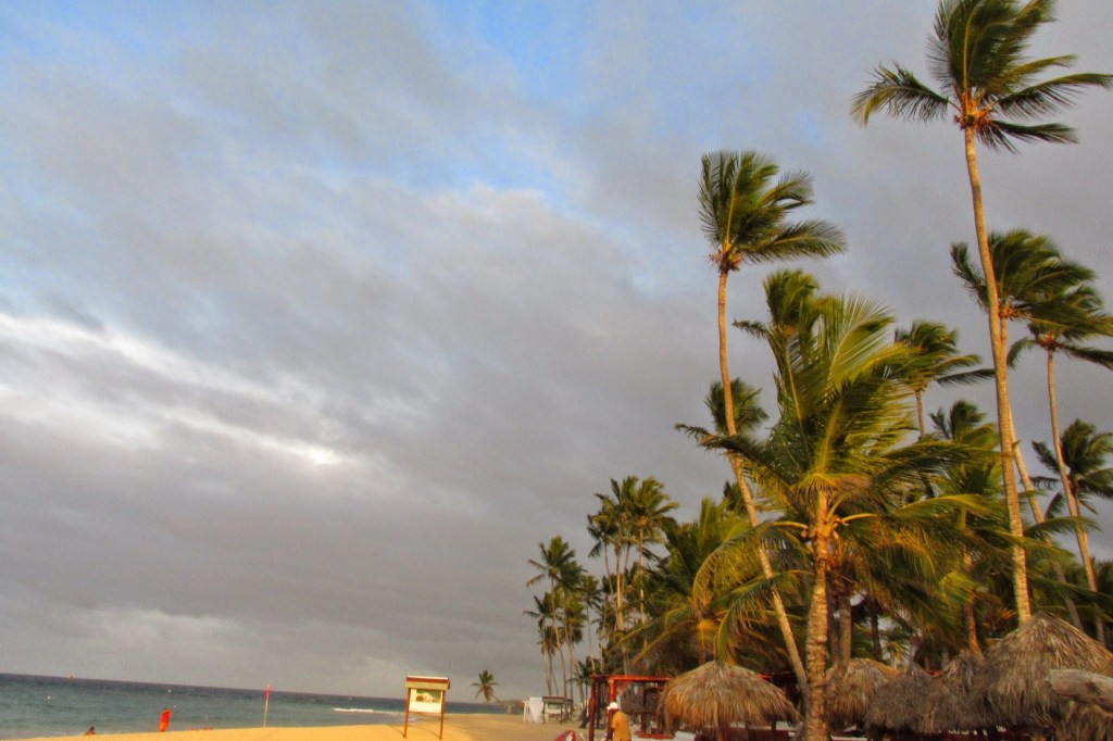 Deep grey clouds roll across a vibrant blue sky on the coast of the Dominican Republic. Tall palm trees sway in the wind, their trunks glowing orange as the sun sets.