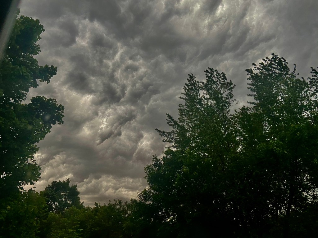 Dark threatening storm clouds twirl above head, the darkened trees surrounding sway in the winds.