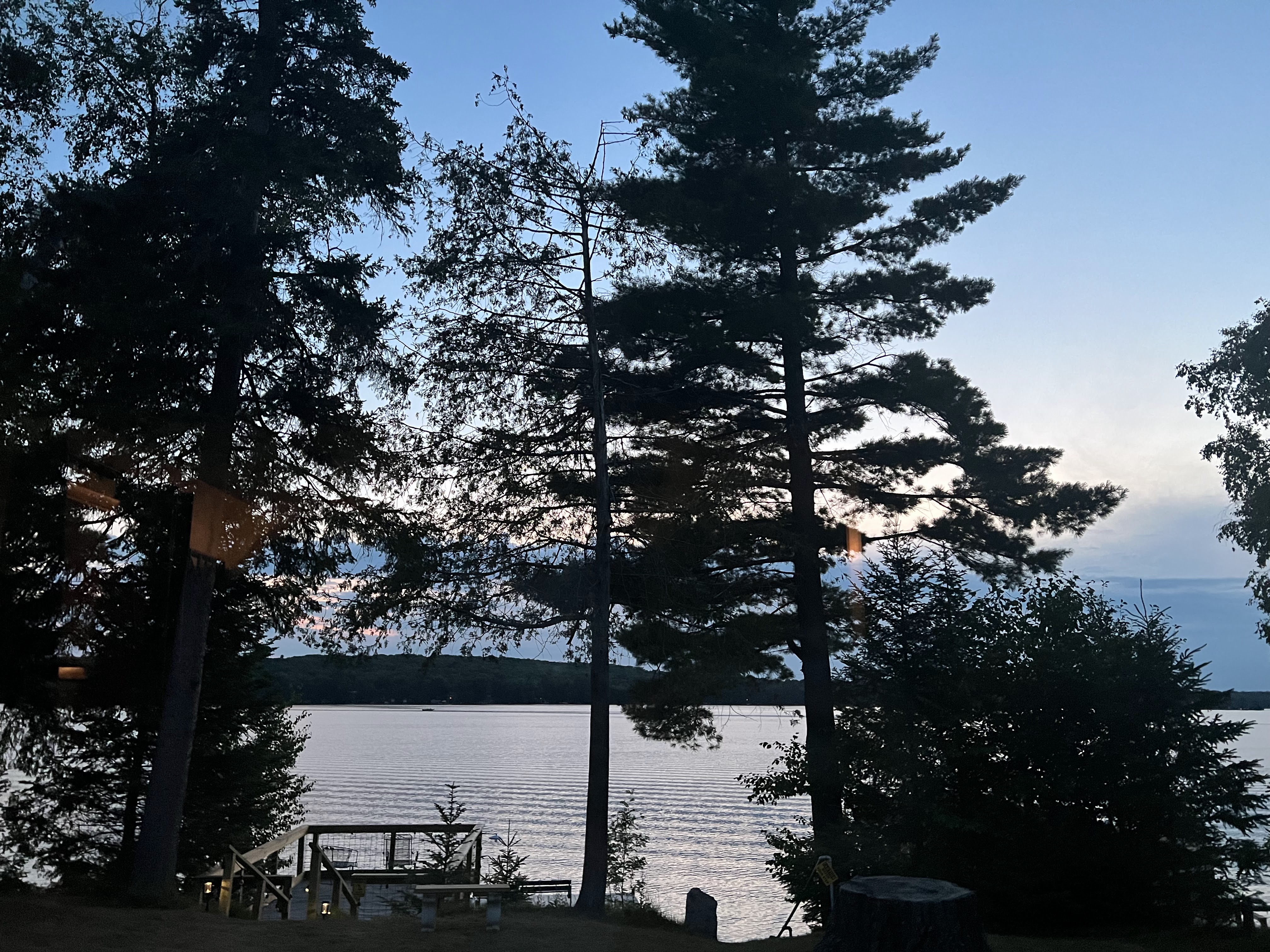 Tall lumbering pines, darkened as the sun has set stand prominently in front of a glistening lake.