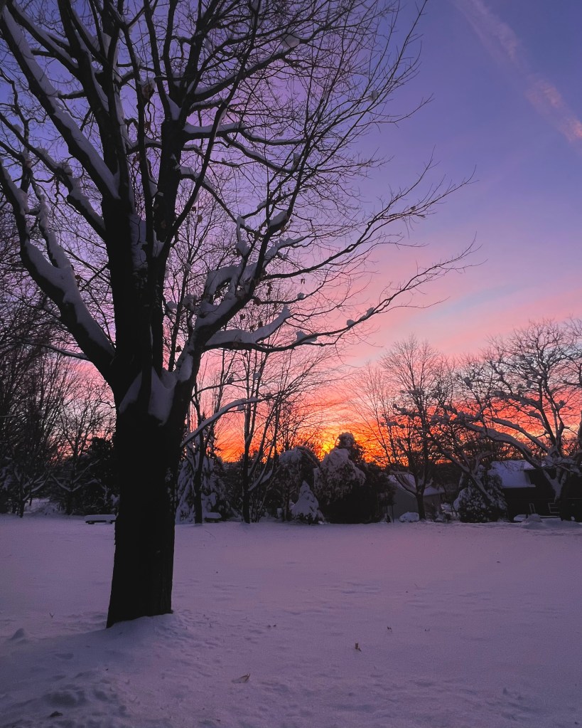 A tall bare maple tree silhouette stands on the left of the frame in the snow meeting a vibrant orange and pink cloud wisping sky which casts a pink glow over the scene. 