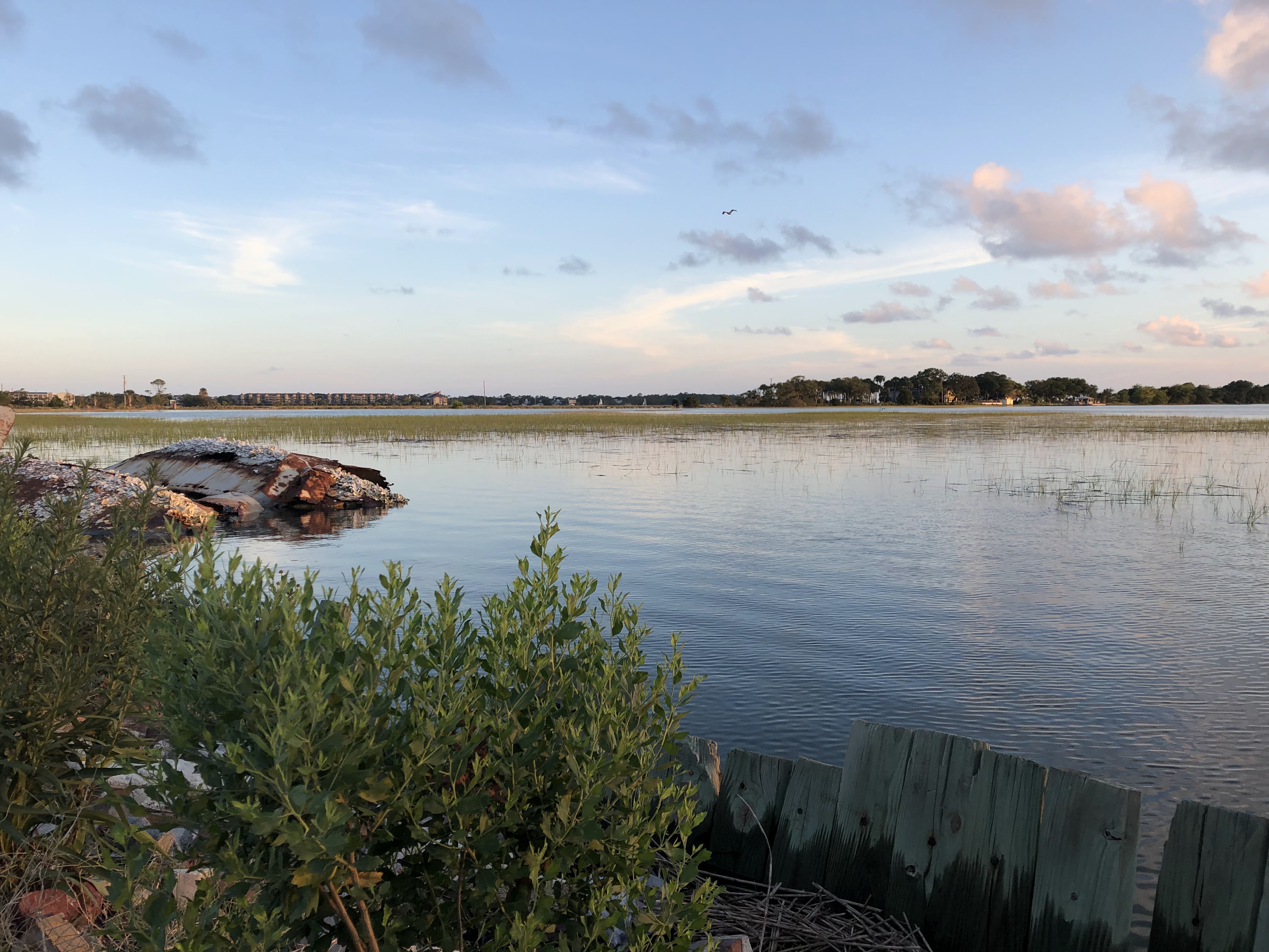 Illuminated by a warm sun setting behind us the tide is in covering all but the tips of the Marsh Grass. An old boat has been beached along the shore, it's red rust glimmering among the attached clamshells. A soft blue sky with puffy pink clouds and a flying loon hang above the distance island. 
