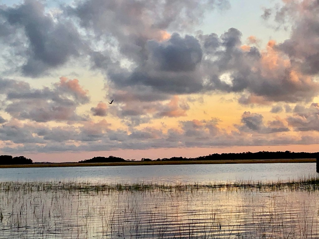 A dreamy soft pink sunset over the marsh. Plumes of grass stick up in the soft blue water which meets a treeline in the distance. Above plumes of clouds light up in soft pink and deep lavender as the sky behind it fades from a rich pink to soft blue. A egret flies across the sky.
