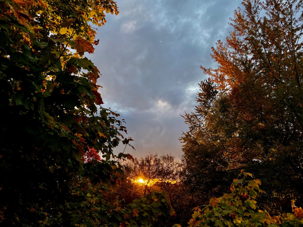 A U shape of vibrant red and orange and green fall leaves line the frame of the picture. The sun setting into the base of the leaves. A patchy grey sky above. 