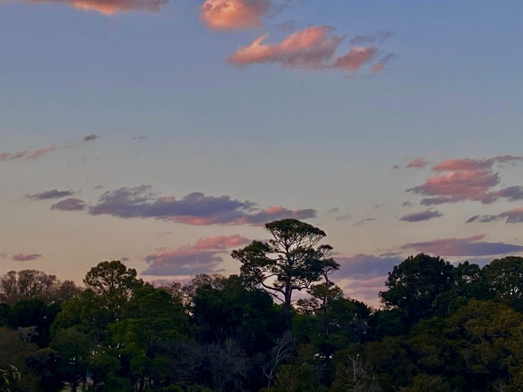 Across from me is a line of trees, a tall pine stands above them all in the center. Pink and purple clouds dance beyond them. The sky here a bit more of a soft blue