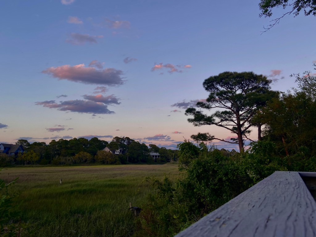 Looking away from the water down the marsh, another tall pine stands just behind my porch.  The lavender puffs of clouds appear to be chasing the pine and moving towards it. The marsh outstretches here in a soft vibrant lime greens.