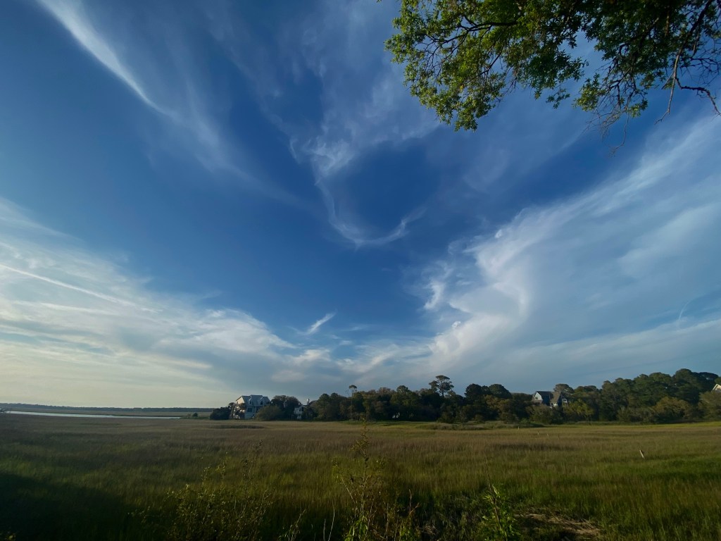 A zoomed out look at the entire marsh around me.  The water is high in the disntace, the clouds rippling around like multiple rivers. No longer very transparent. A stream of blue sky expands out from the center meeting a green tree above me