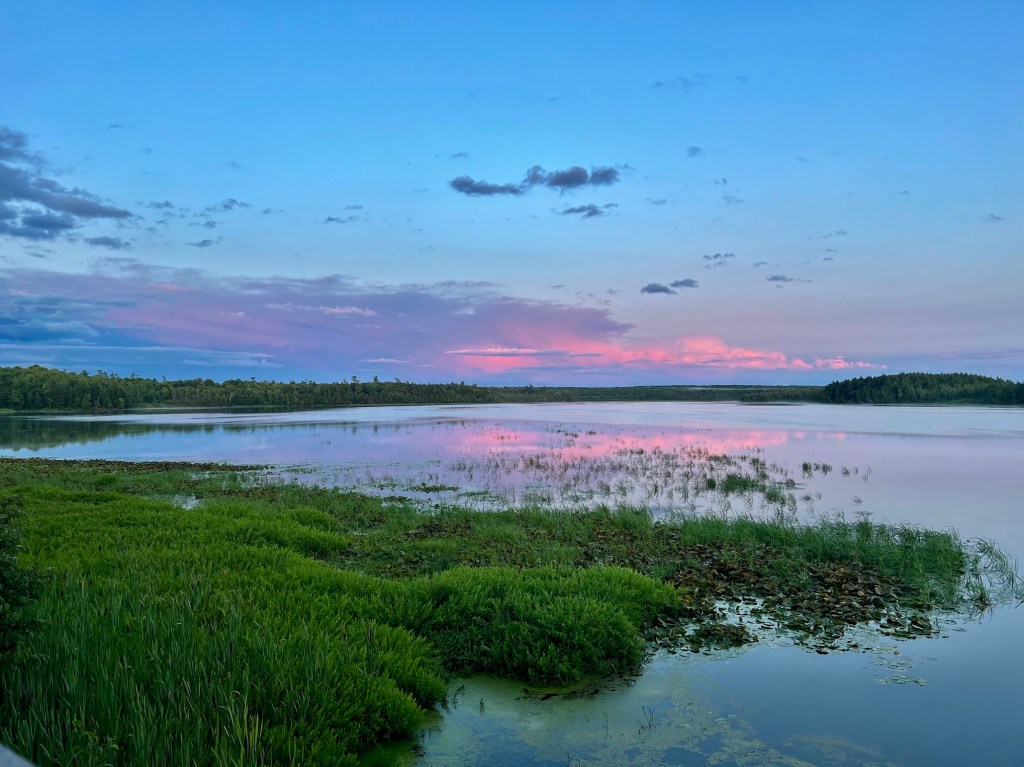 zoomed in on the lake grass with the lake still calm, the large cloud formation as the storm moves away is lit up in vivid shades of pink and lavender reflecting perfectly in the still water below. 
